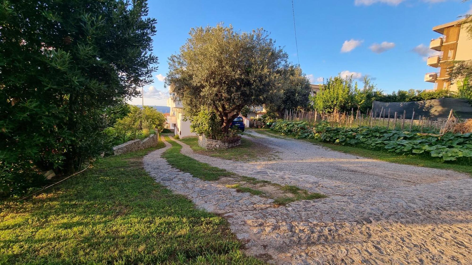 Villa Eugenia Tropea Esterno foto